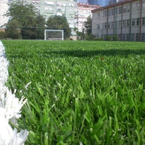 integral turf