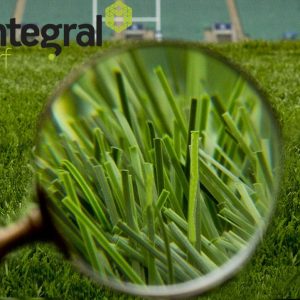 Artificial grass