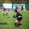 hockey grass