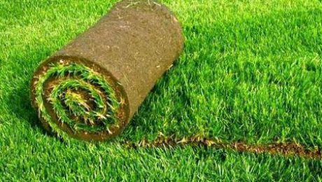 Natural Grass Mowing and Irrigation and Benefits of Artificial Grass!