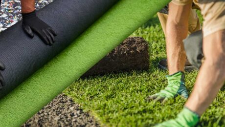 natural grass vs artificial grass