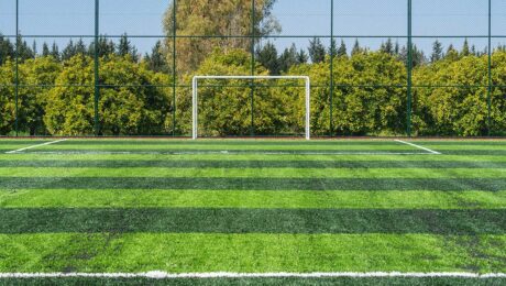 artificial grass fields