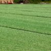 artificial grass