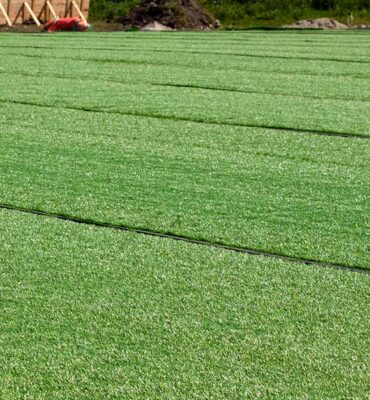 artificial grass