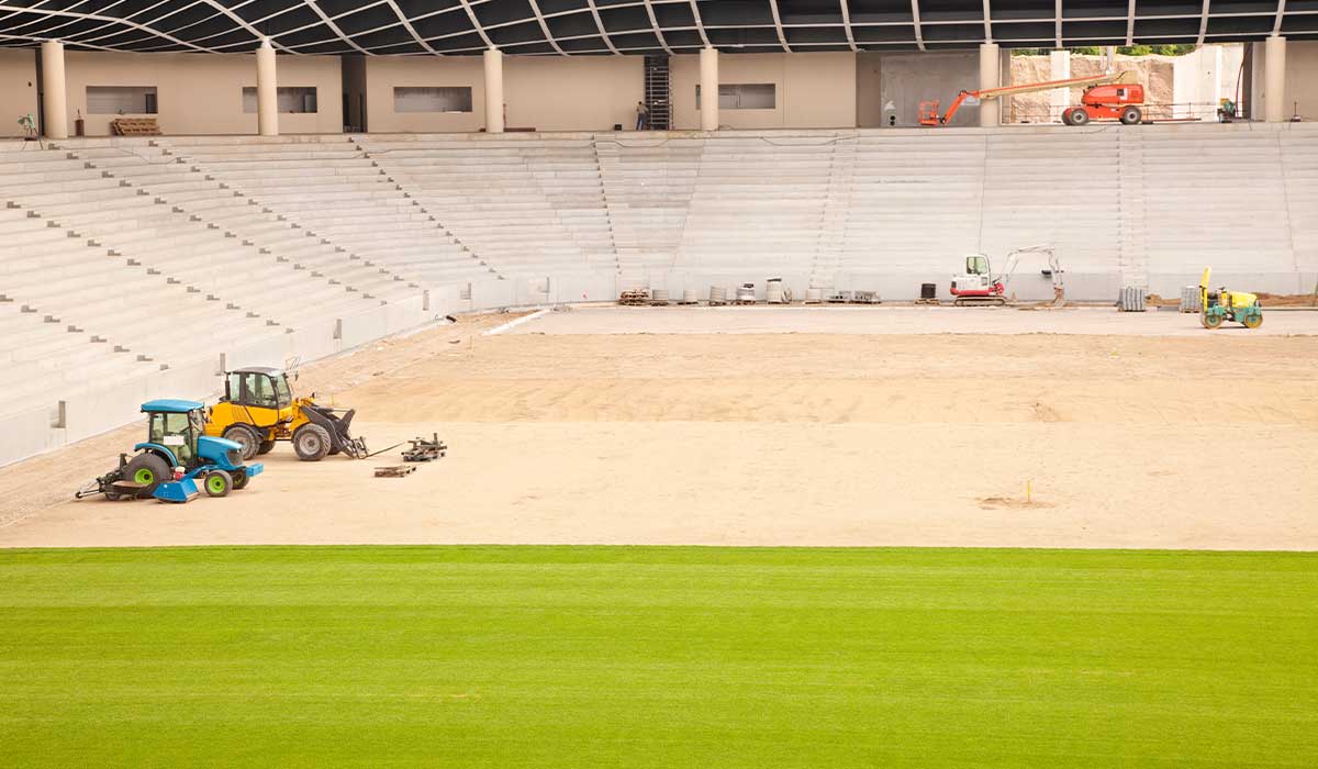 hybrid grass for stadium